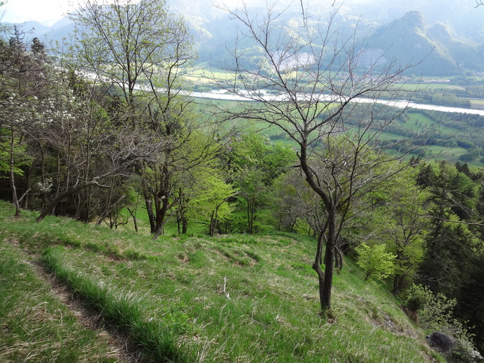 Kitzstein 00302.JPG