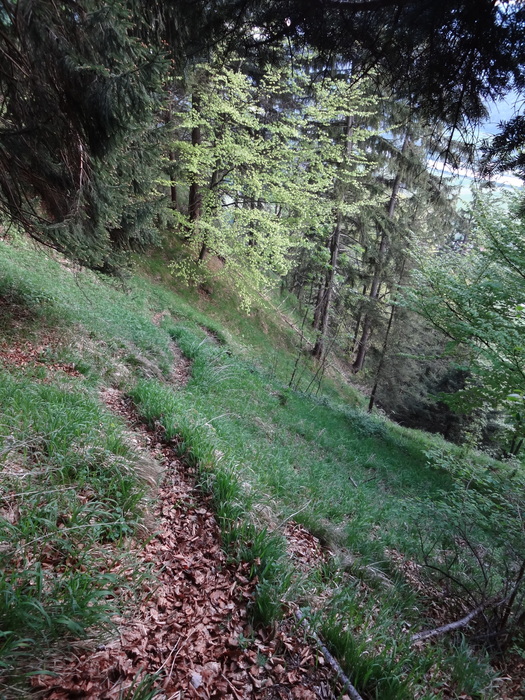 Kitzstein 00338.JPG