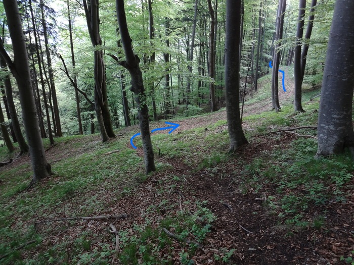 Kitzstein 00354.JPG