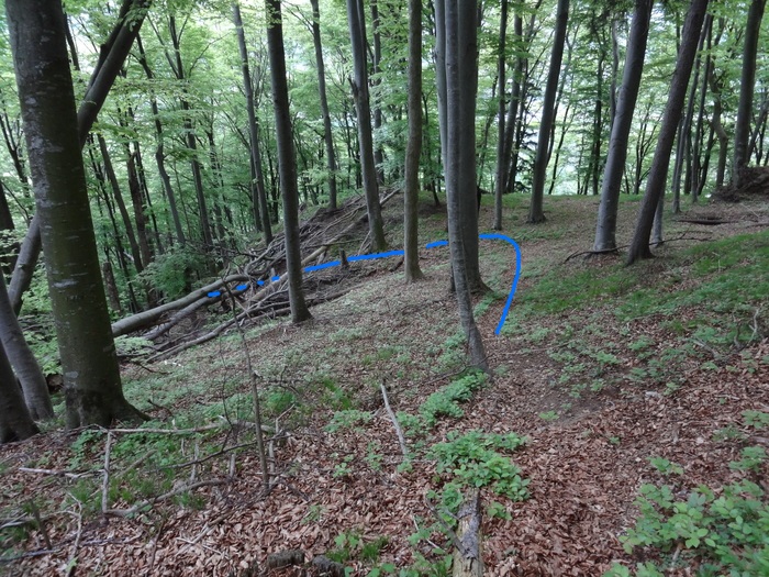Kitzstein 00376.JPG