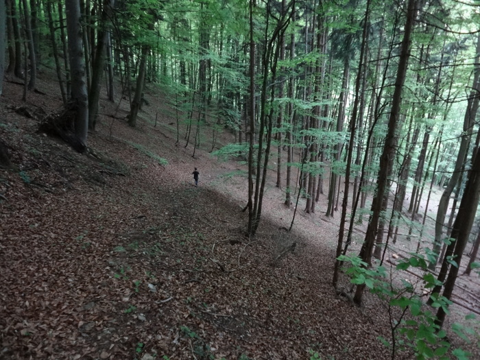 Kitzstein 00387.JPG