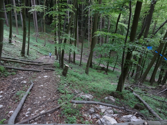 Kitzstein 00397.JPG
