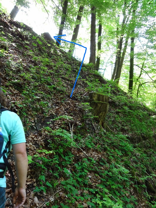Kitzstein 09144.JPG