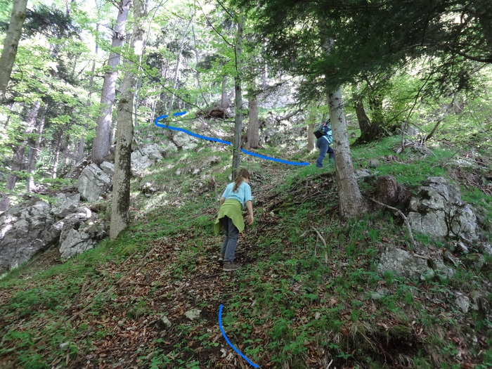 Kitzstein 09164.JPG