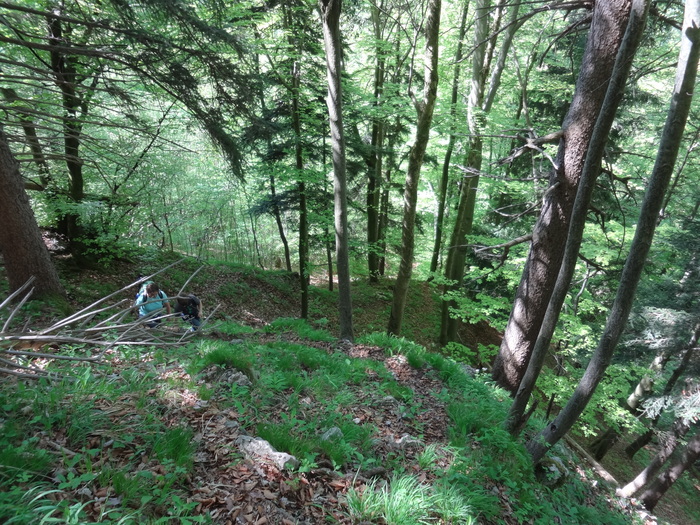 Kitzstein 09171.JPG
