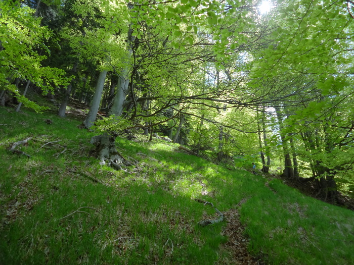 Kitzstein 09199.JPG
