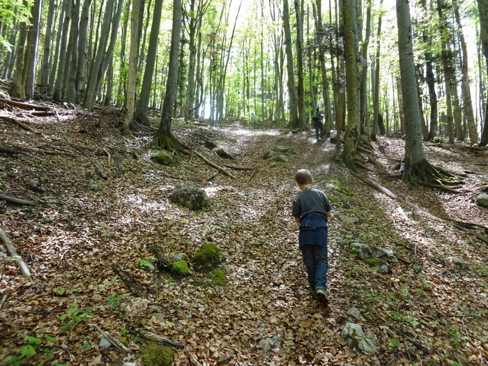 Kitzstein 09258.JPG