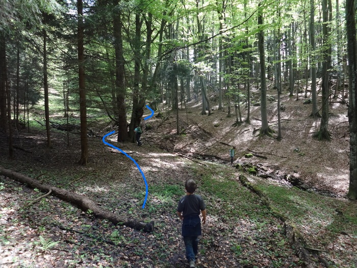 Kitzstein 09266.JPG