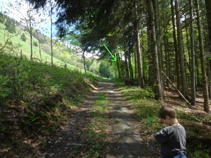 Kitzstein 09285.JPG