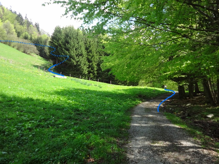 Kitzstein 09305.JPG