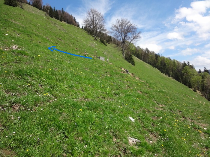 Kitzstein 09421.JPG