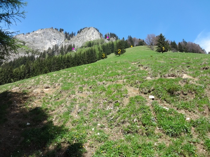 Kitzstein 09425.JPG