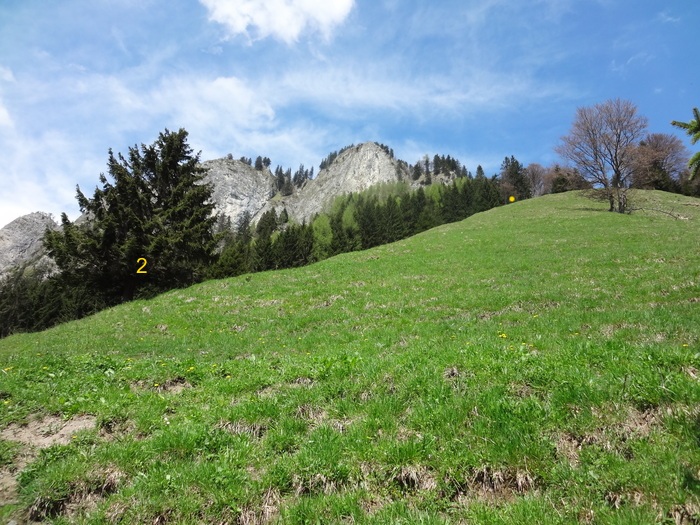 Kitzstein 09451.JPG
