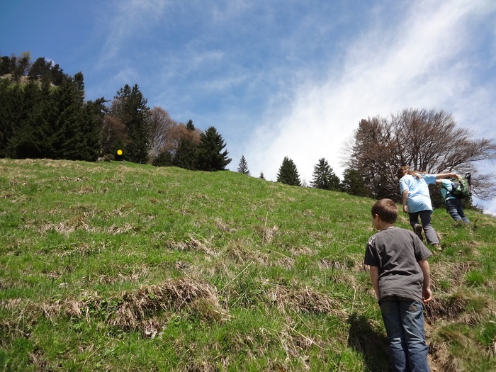 Kitzstein 09494.JPG