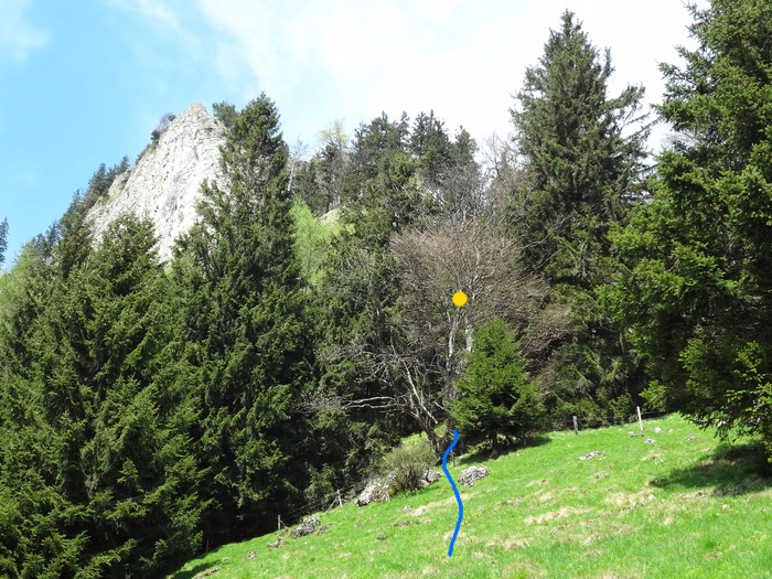 Kitzstein 09517.JPG