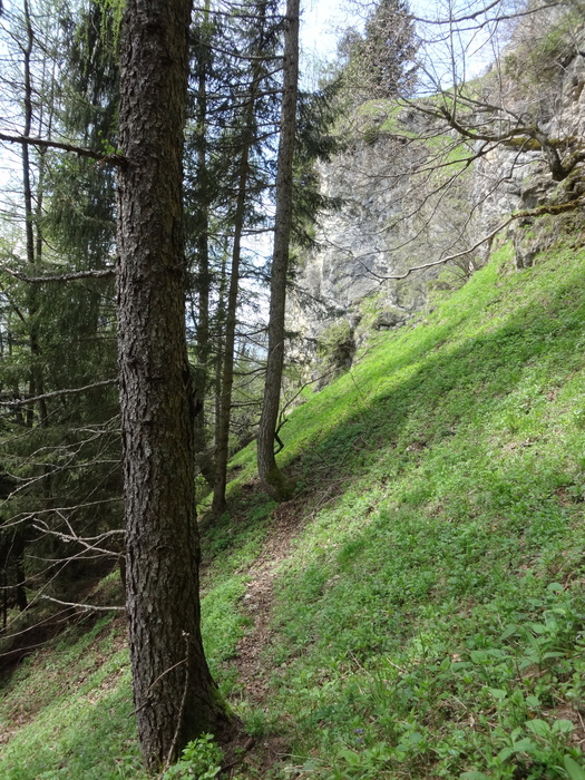 Kitzstein 09558.JPG