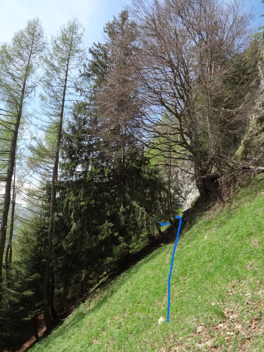 Kitzstein 09564.JPG