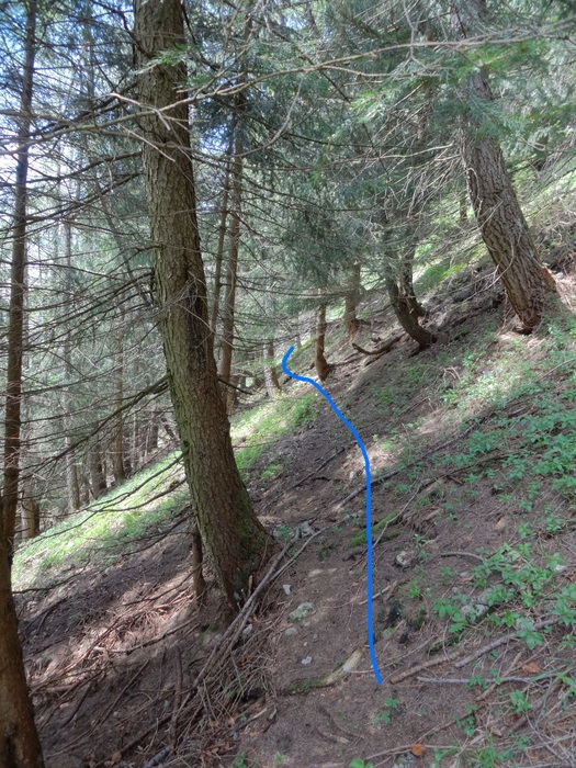 Kitzstein 09566.JPG