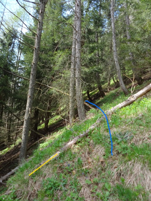 Kitzstein 09568.JPG