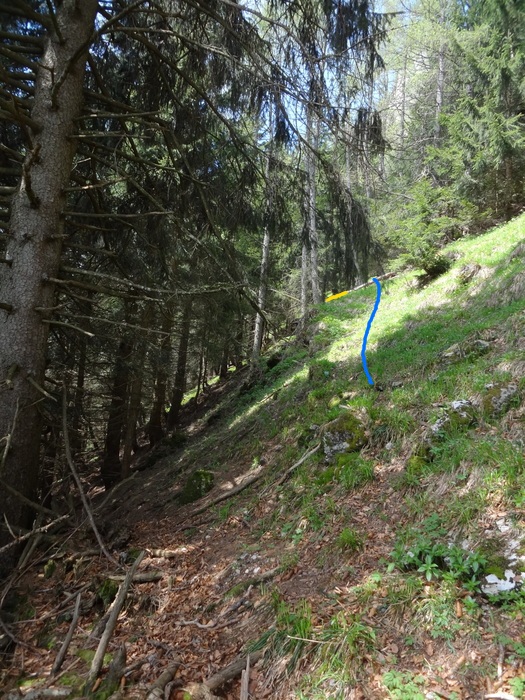 Kitzstein 09570.JPG