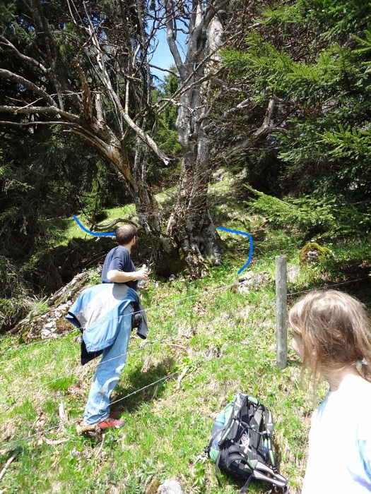Kitzstein 09575.JPG