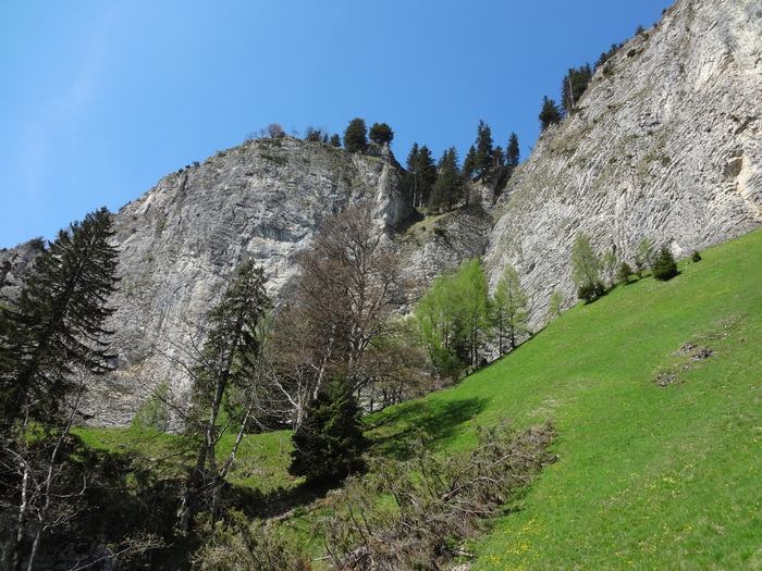 Kitzstein 09720.JPG