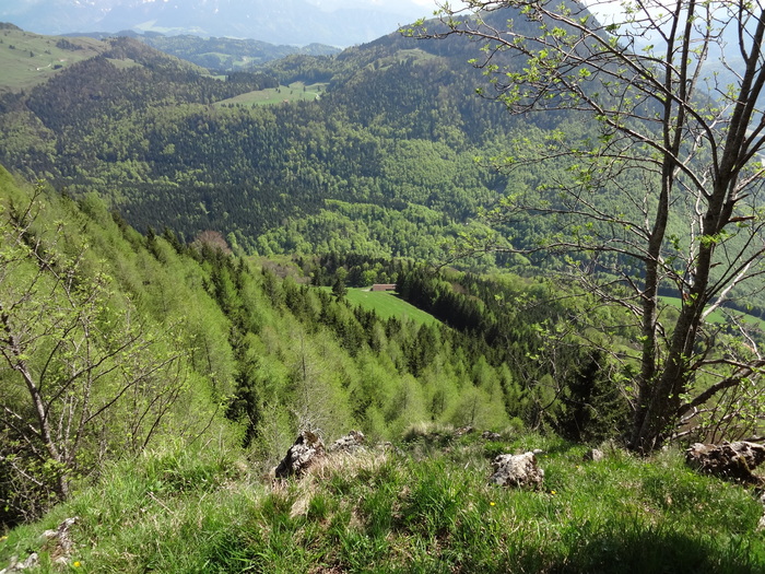 Kitzstein 09738.JPG