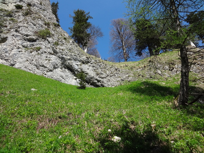 Kitzstein 09763.JPG