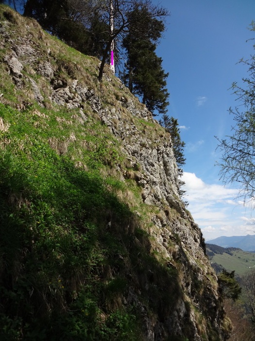 Kitzstein 09778.JPG