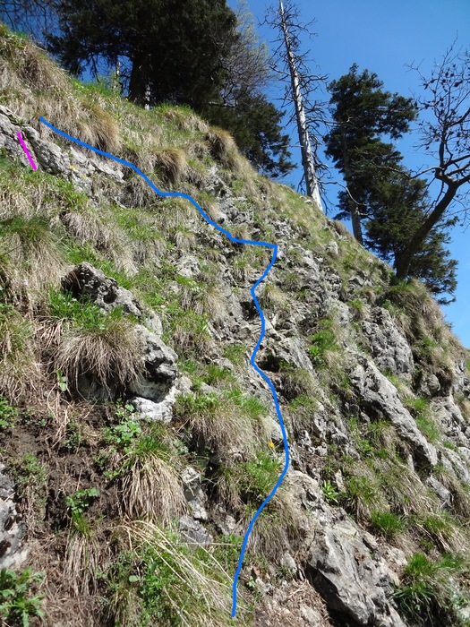 Kitzstein 09784.JPG