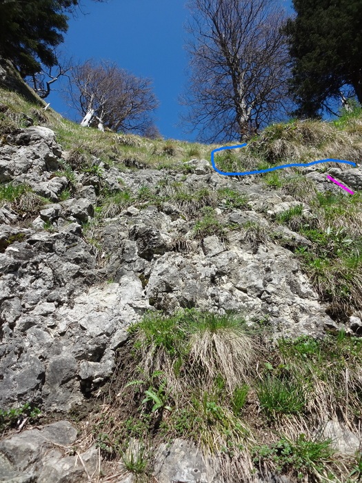 Kitzstein 09786.JPG