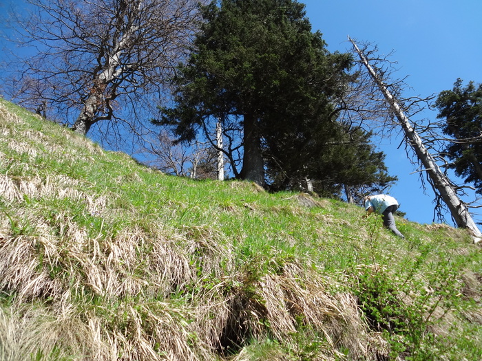 Kitzstein 09832.JPG