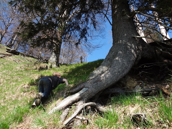 Kitzstein 09855.JPG