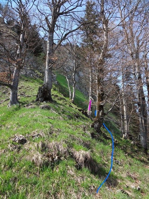 Kitzstein 09891.JPG