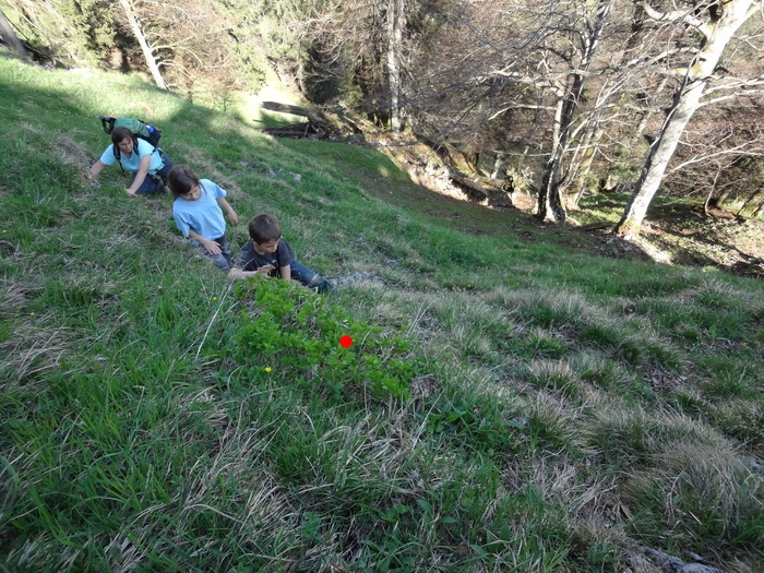 Kitzstein 09919.JPG