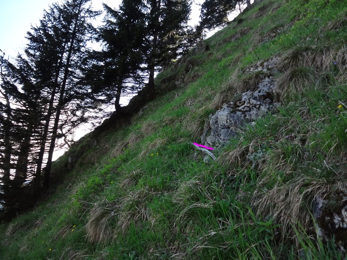 Kitzstein 09923.JPG