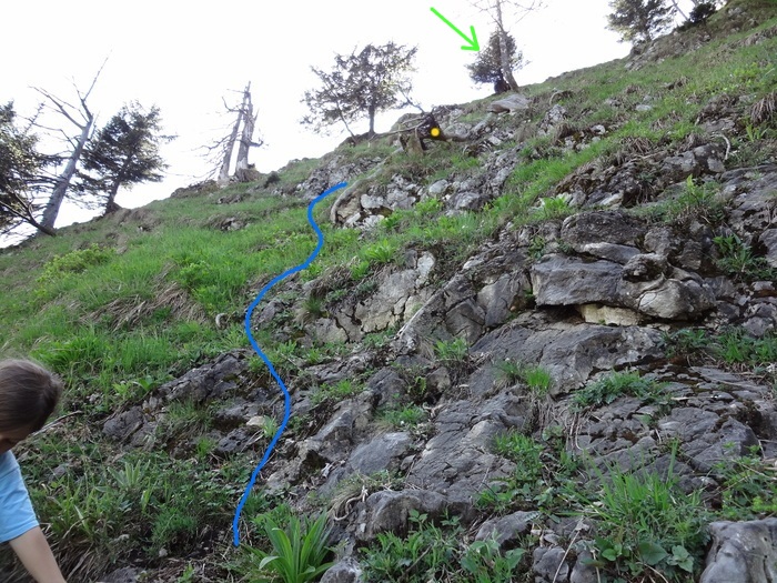 Kitzstein 09932.JPG