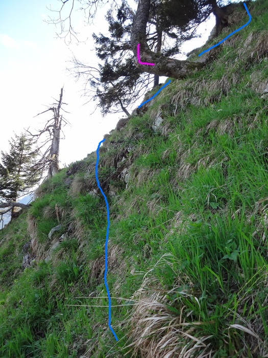 Kitzstein 09957.JPG