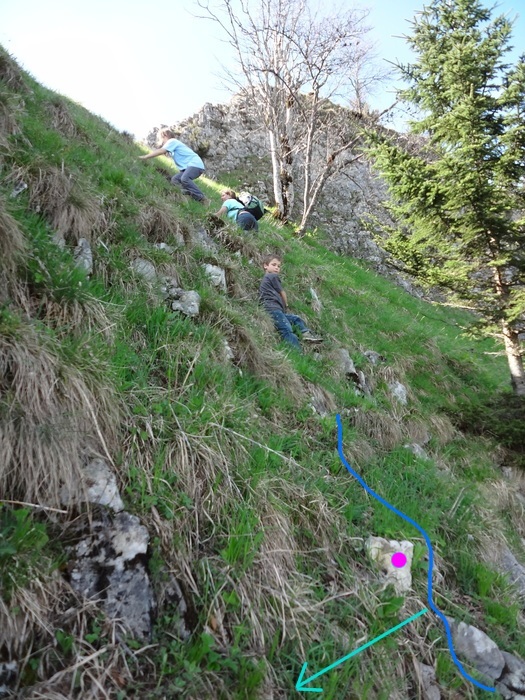 Kitzstein 09978.JPG