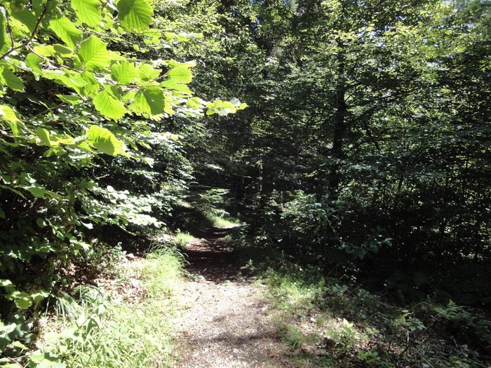 Köglhörndl 04595.JPG