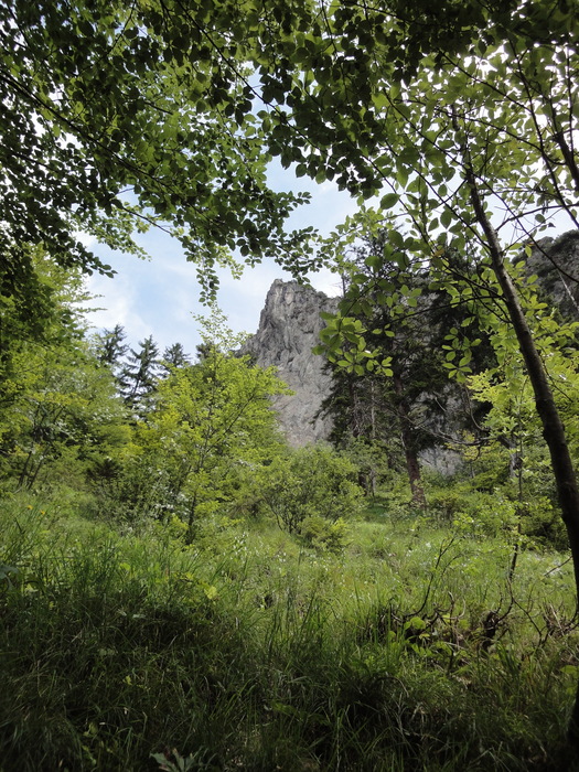 Köglhörndl 04649.JPG