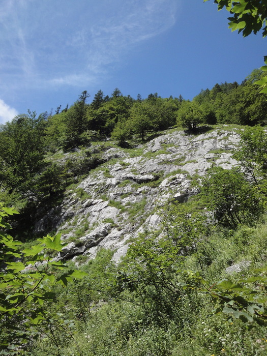 Köglhörndl 04684.JPG