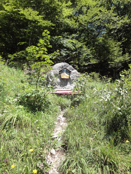Köglhörndl 04688.JPG