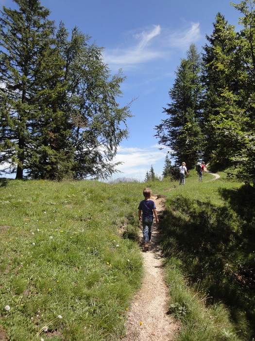 Köglhörndl 04771.JPG