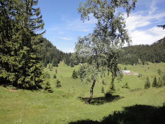 Köglhörndl 04805.JPG