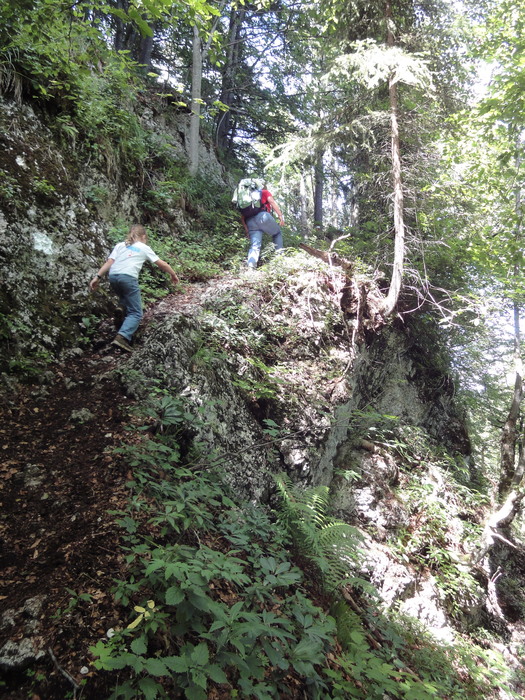 Köglhörndl 04831.JPG