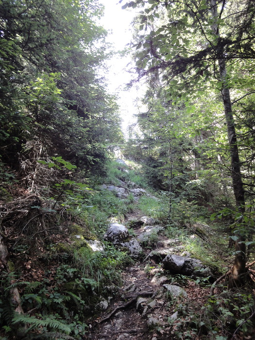Köglhörndl 04852.JPG
