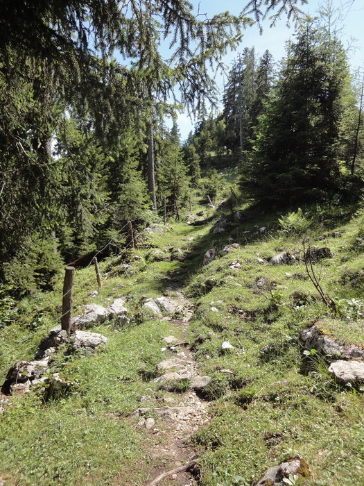 Köglhörndl 04865.JPG