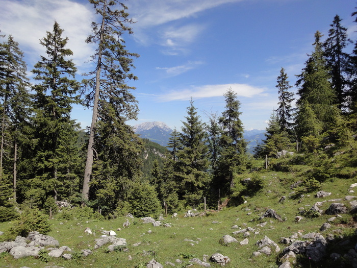 Köglhörndl 04871.JPG