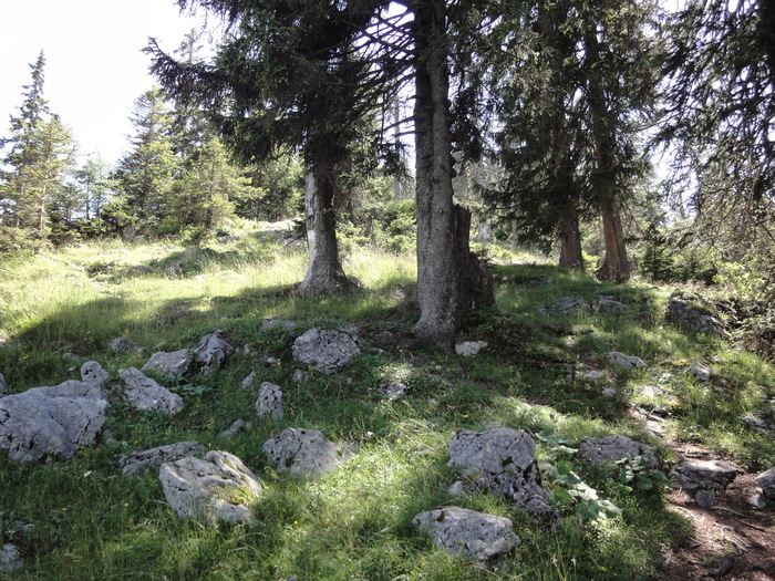 Köglhörndl 04887.JPG
